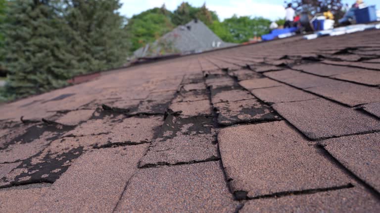 Best Gutter Installation and Repair  in Olive Branch, MS