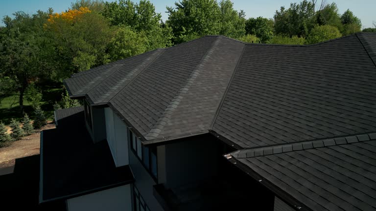 Best Roof Moss and Algae Removal  in Olive Branch, MS